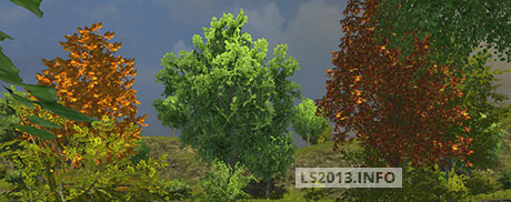 Autumn-Trees-v-1.0