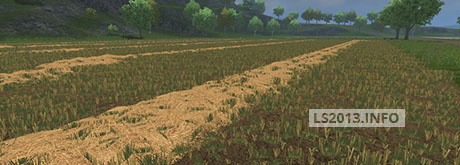 Wheat-Barley-Texture-v-1.1