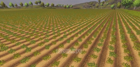 Disabling-withering-Crops